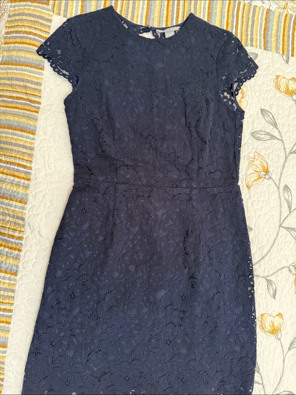 Navy Lace Short Sleeve Sheath Dress